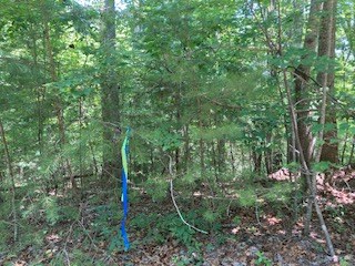 797 Woodbine Lane Ranger, GA 30734 - Photo 7 of 12