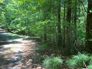 797 Woodbine Lane Ranger, GA 30734 - Photo 8 of 12