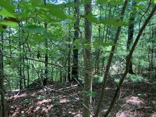 797 Woodbine Lane Ranger, GA 30734 - Photo 10 of 12