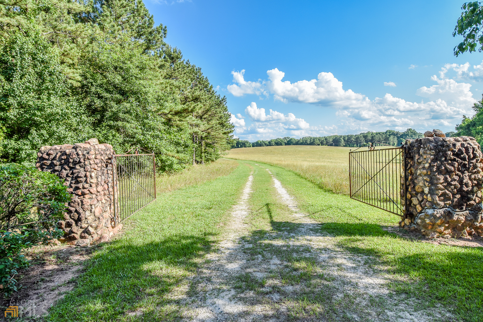 6455 Old Zebulon Road Concord, GA 30206 - Photo 1 of 1 a view of a yard with a lake view
