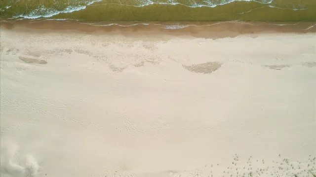 $1,250,000 | 4679 Forest Ridge Drive, Holland, MI 49423