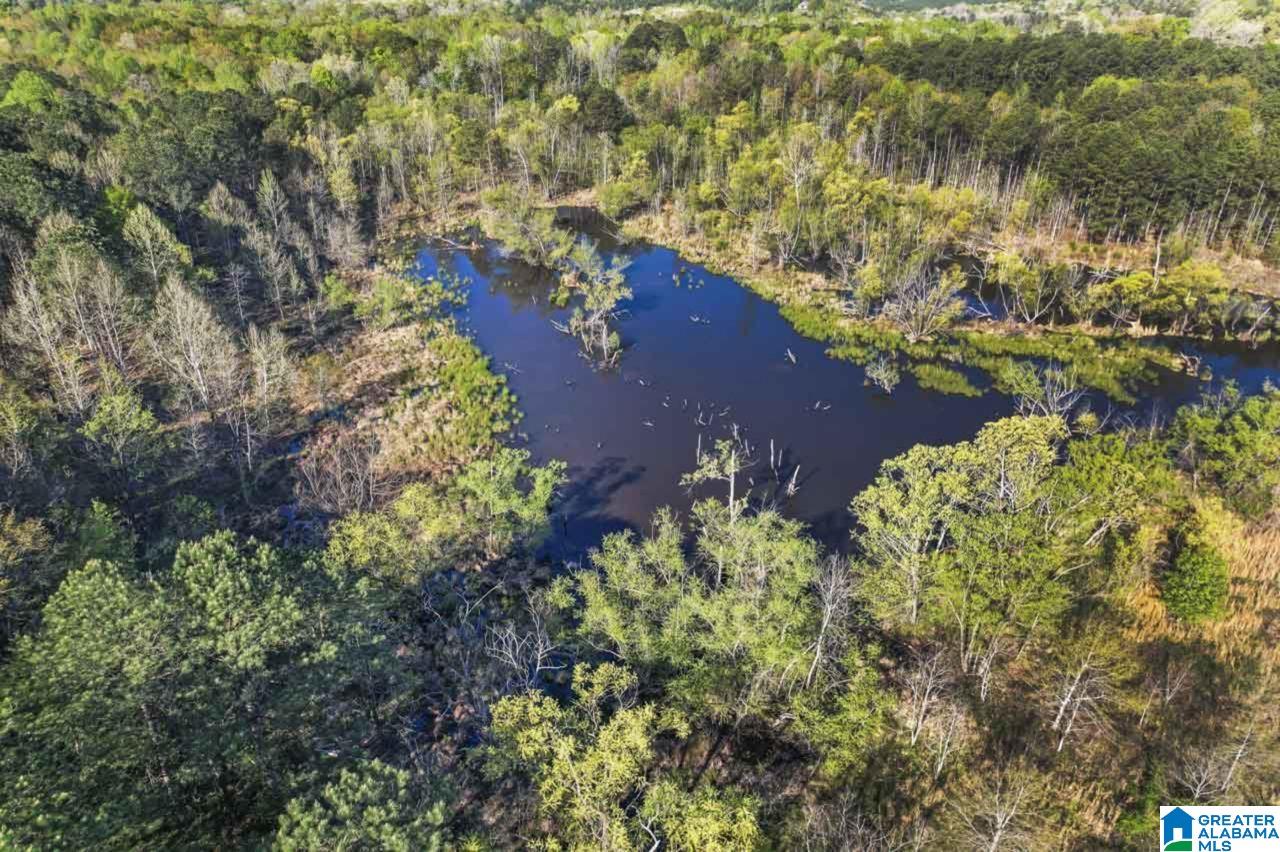 535 Fox Valley Farms Road Alabaster, AL 35114 - Photo 28 of 52