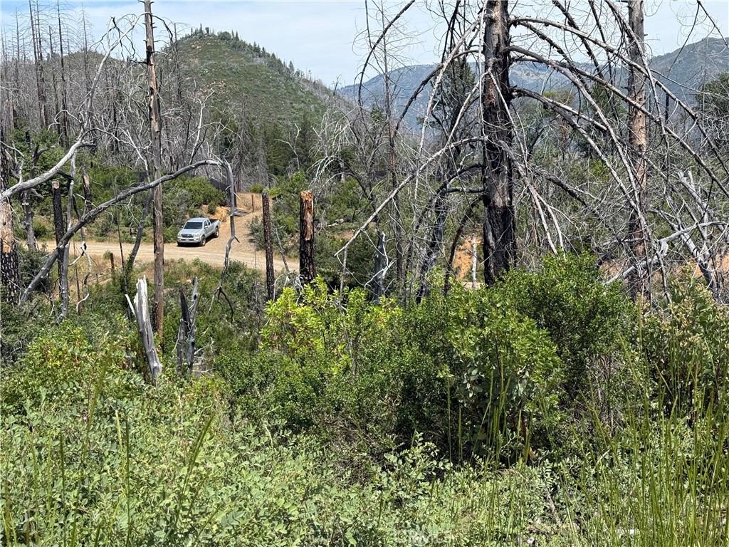 1833 Hunter Point Road Upper Lake, CA 95485 - Photo 16 of 20 a view of a yard