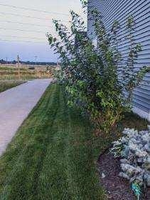 2473 Wildcat Drive Fitchburg, WI 53711 - Photo 30 of 34