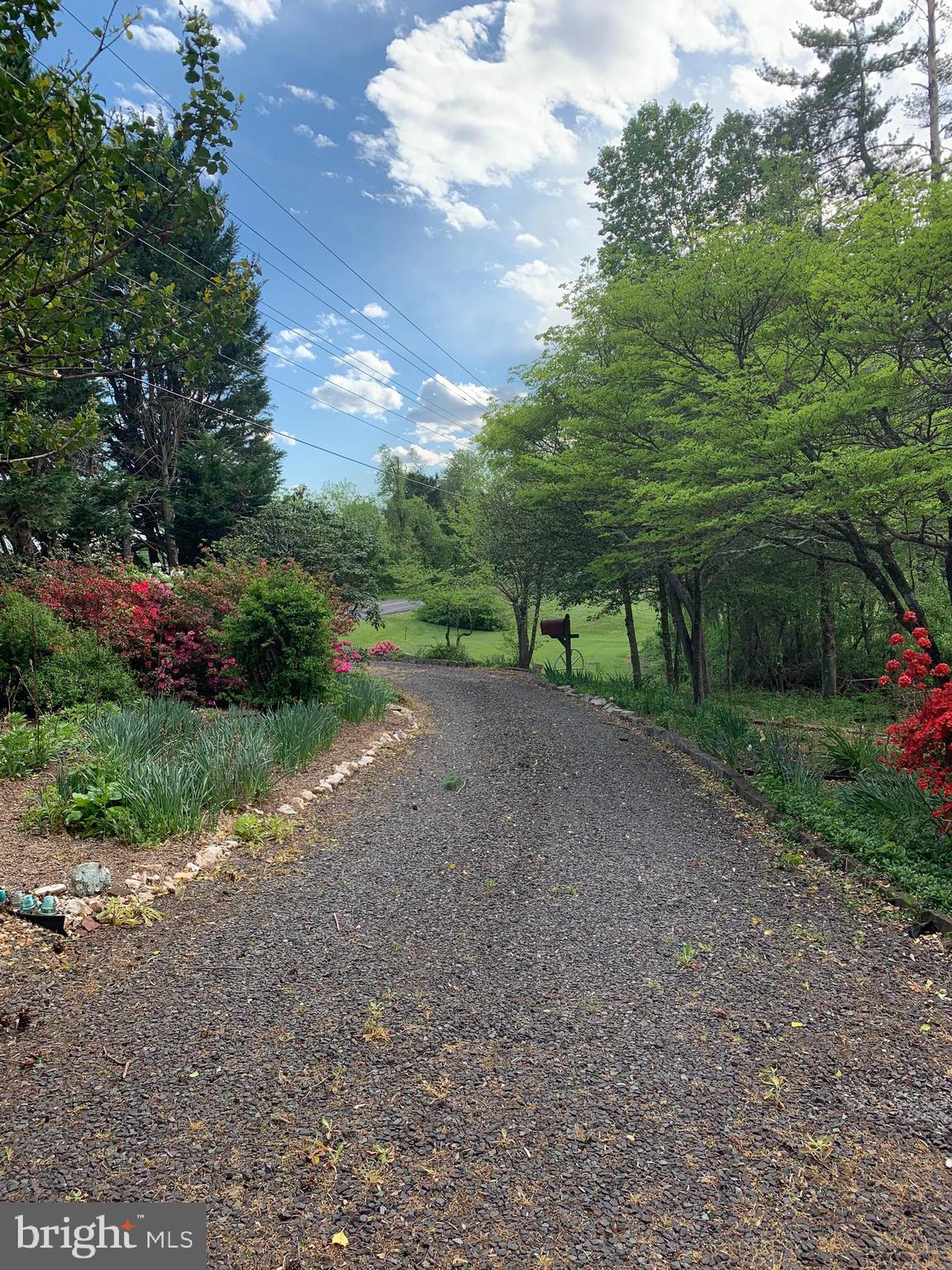 11433 Homeland Road Rixeyville, VA 22737 - Photo 2 of 3 8.5 Acres 15 min outside of Culpeper Town!!