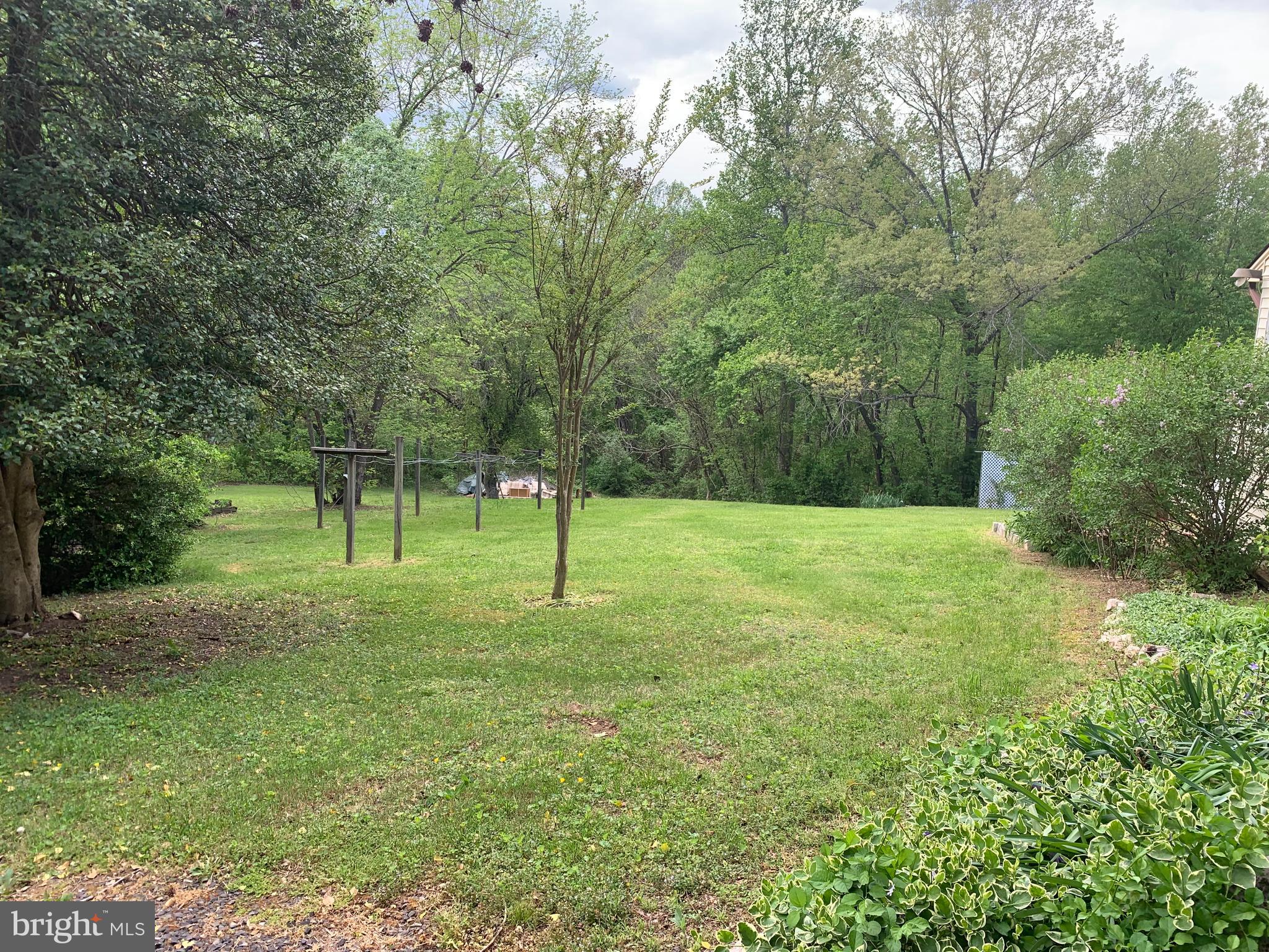 11433 Homeland Road Rixeyville, VA 22737 - Photo 3 of 3 Land backs to Thornton River..Needs clearing
