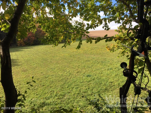 11280 Ellenton Mountain Road Shunk, PA 17768 - Photo 7 of 61 Treestand View
