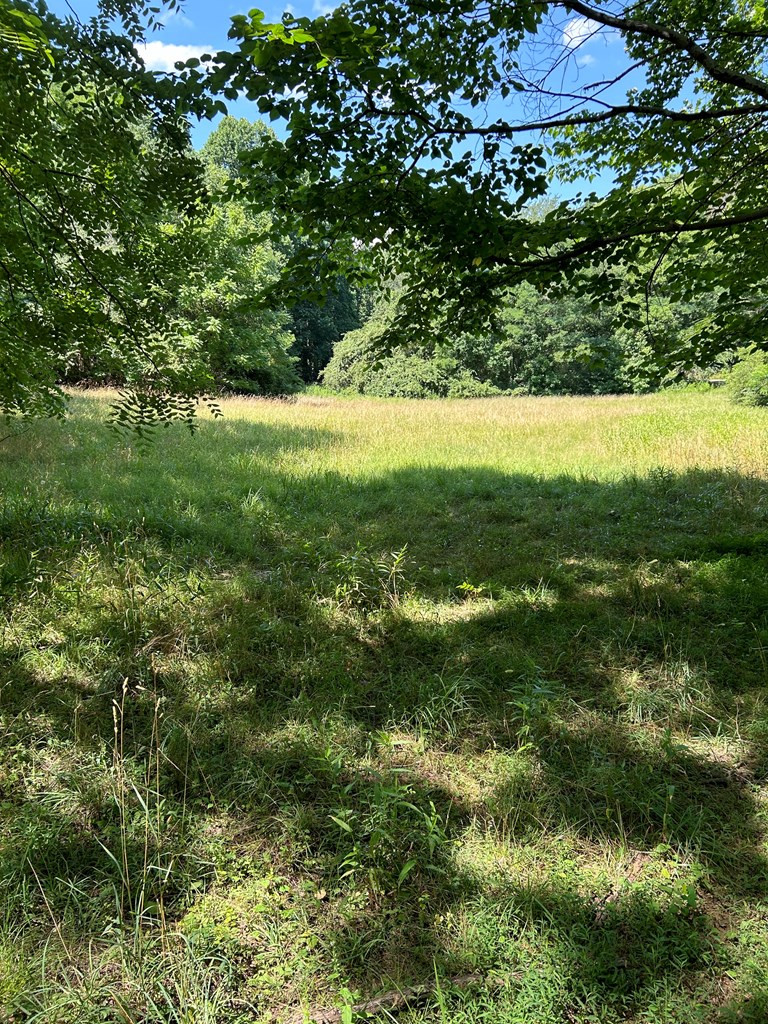 0 Wehutty Road Murphy, NC 28906 - Photo 2 of 3