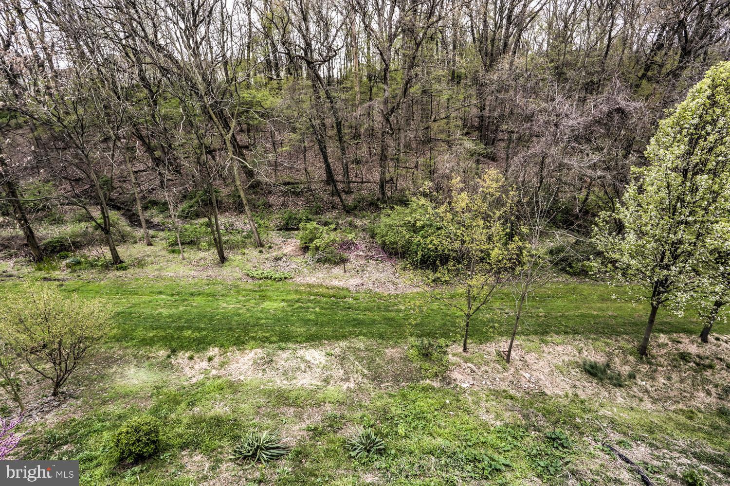 358 Crosswinds Drive Lititz, PA 17543 - Photo 9 of 39 a view of outdoor space and yard