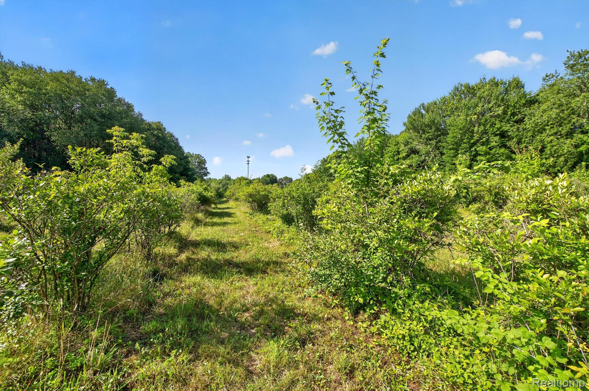 0 Gillette Road Flushing, MI 48433 - Photo 25 of 32 30.jpg