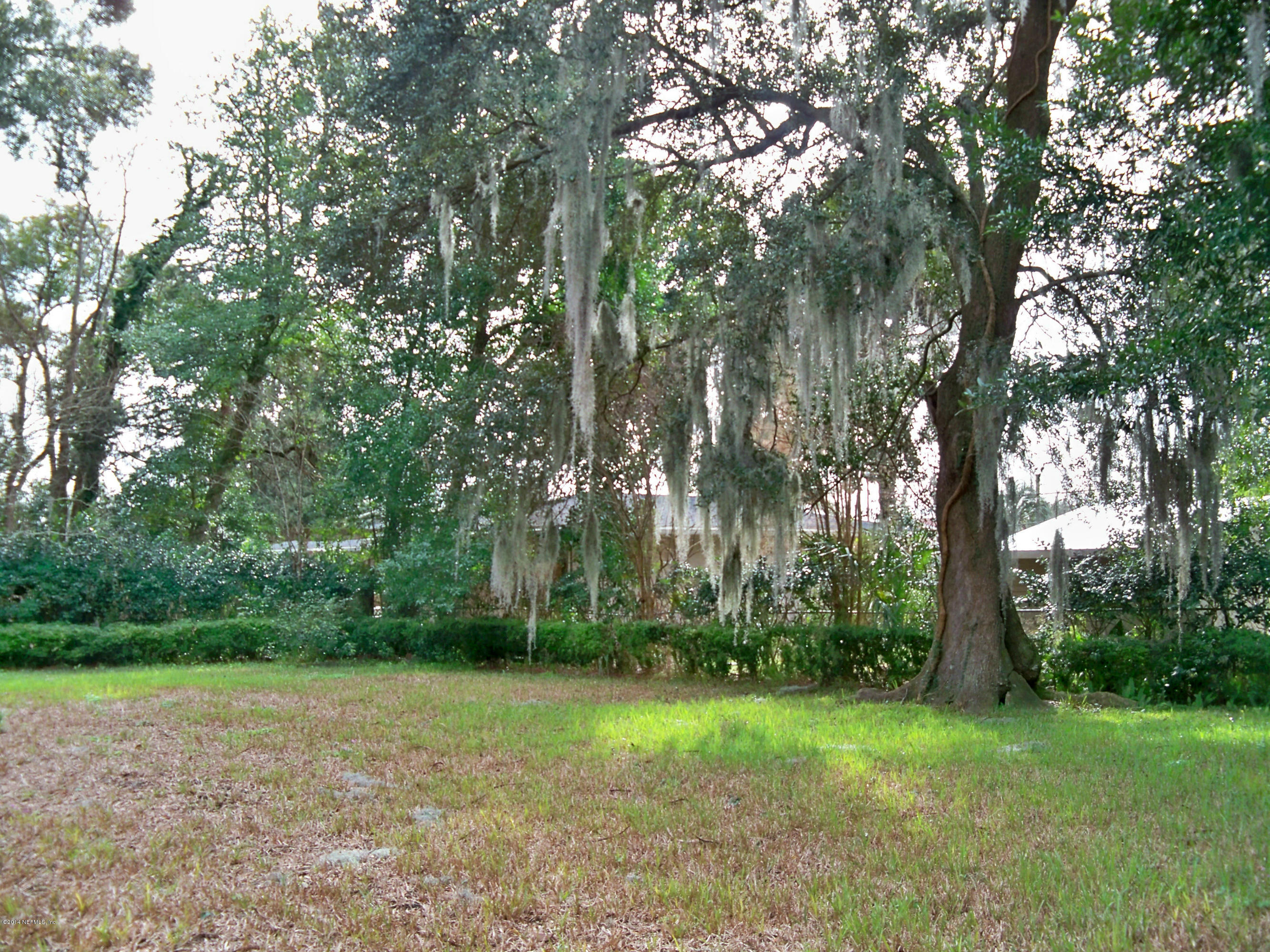 1406 Harbor Oaks Road Jacksonville, FL 32207 - Photo 5 of 12 Harbor Oaks Backyard