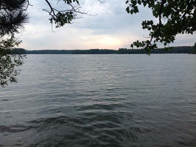 On Catfish Lake Road, Unit 2 Eagle River, WI 54521 - Photo 1 of 8 Gallery Image 1