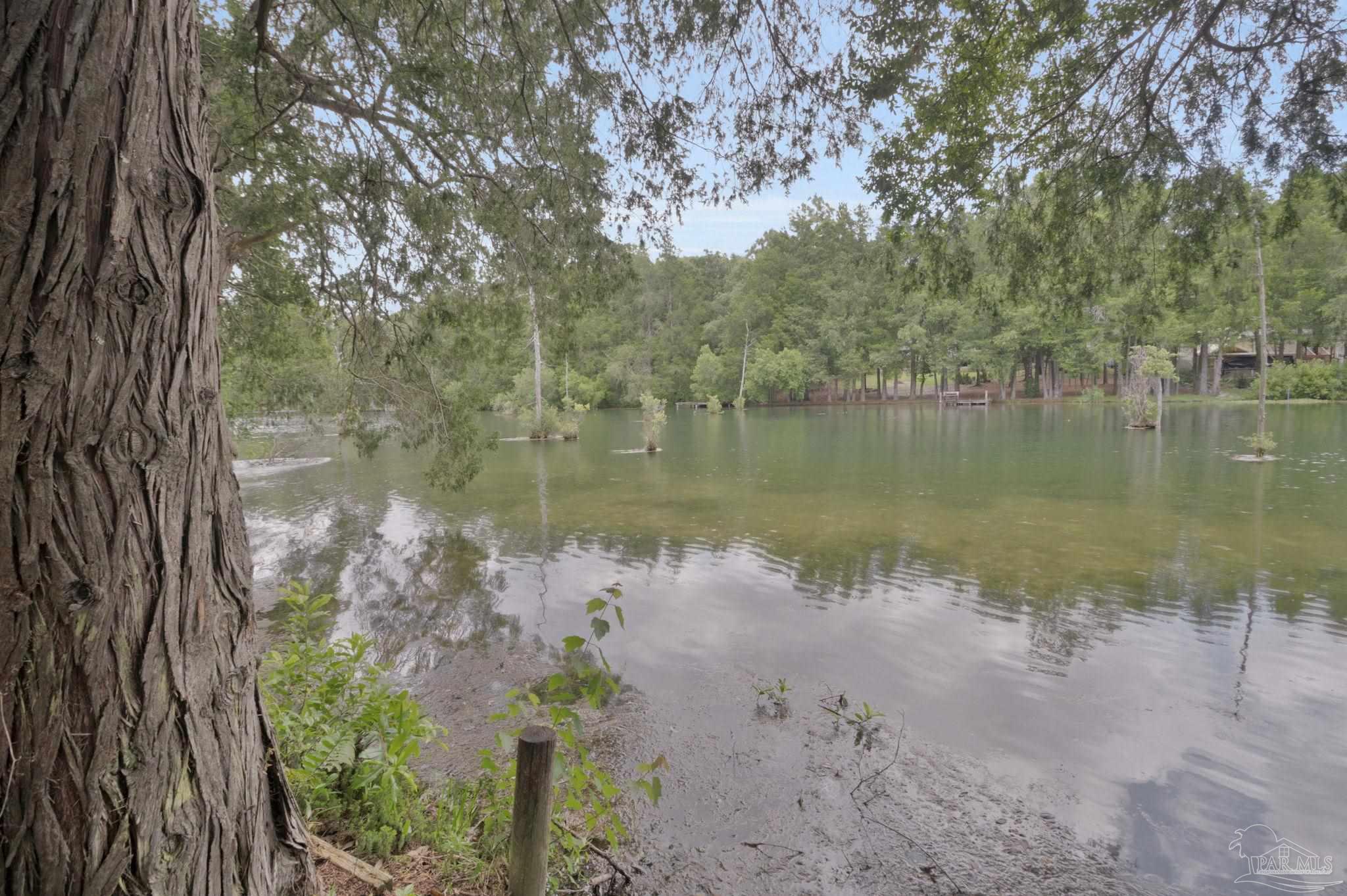 10290 West Lake Road Milton, FL 32583 - Photo 32 of 53 a view of a lake from a yard