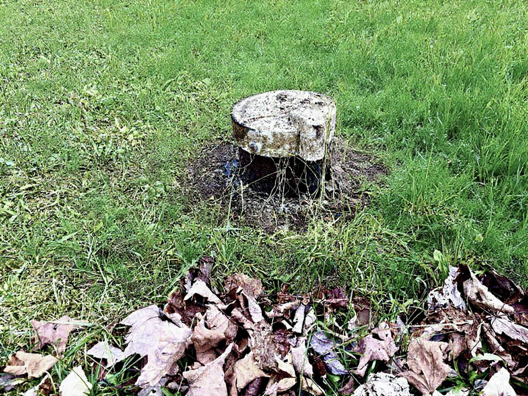 310 Sebec Shore Road Guilford, ME 04443 - Photo 45 of 47 Well