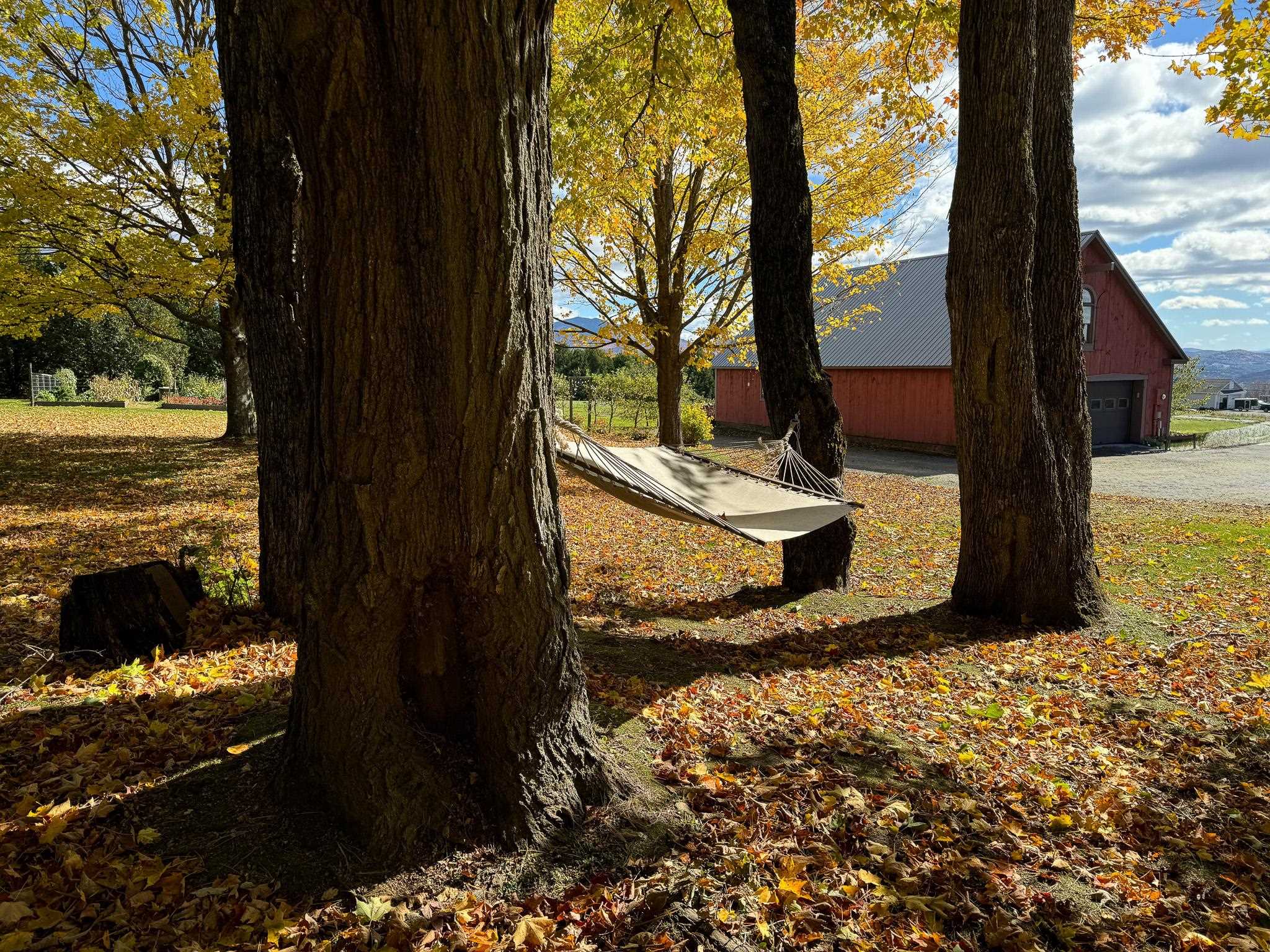 885 Burke Road Sutton, VT 05867 - Photo 2 of 58 Gallery Image 2