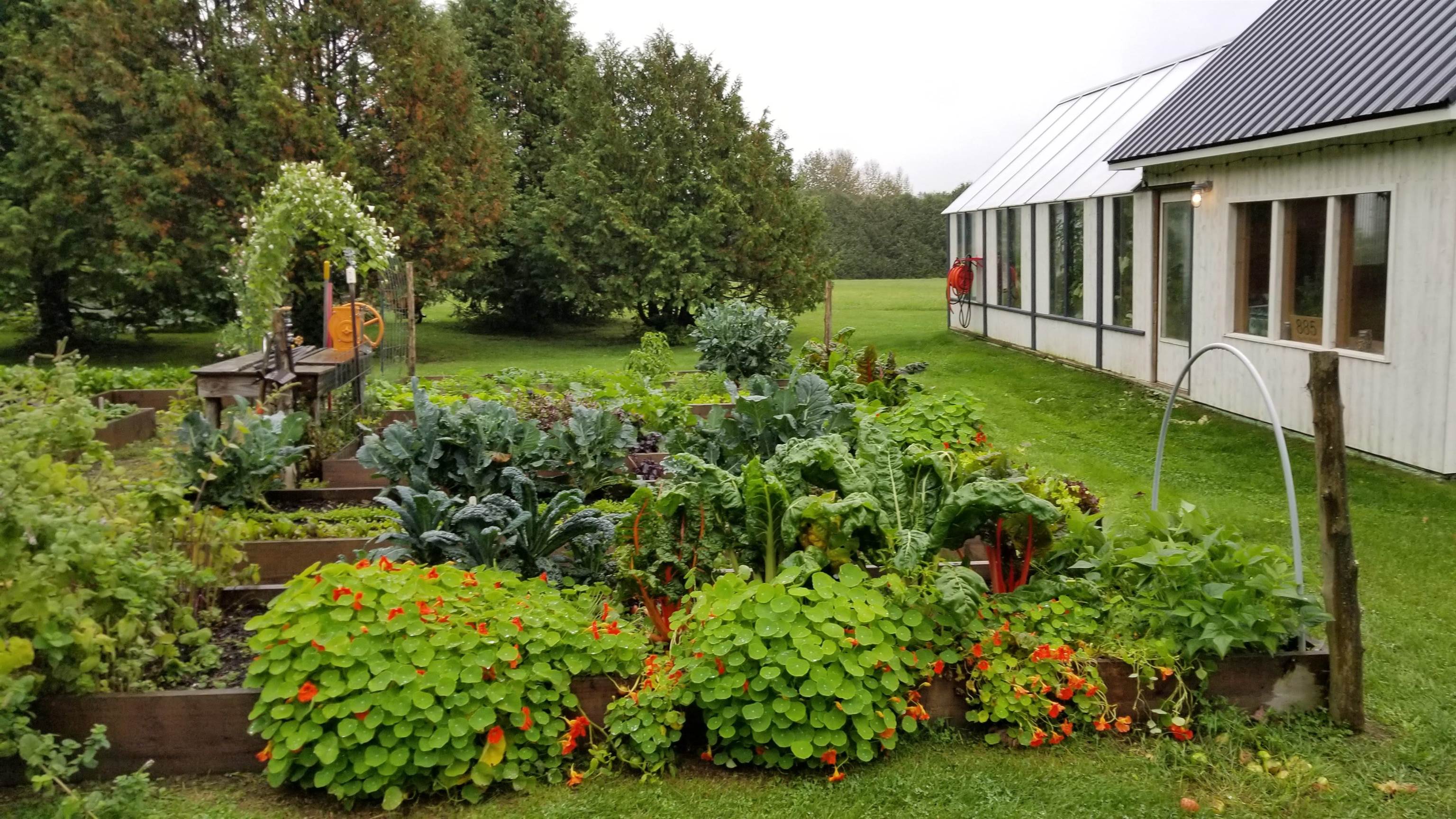 885 Burke Road Sutton, VT 05867 - Photo 44 of 58 Gallery Image 44