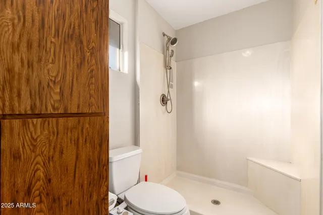 a bathroom with a shower and a toilet