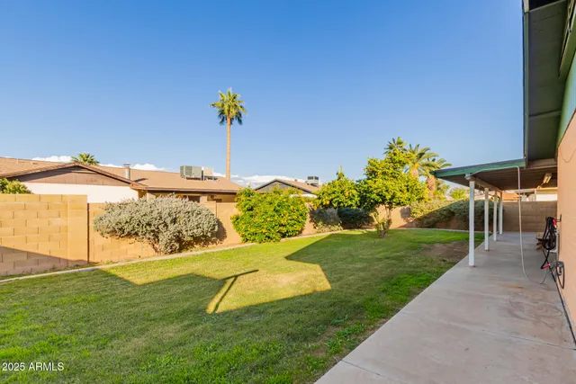 a view of a backyard