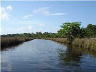 443 Bay City Road Apalachicola, FL 32320 - Photo 1 of 1