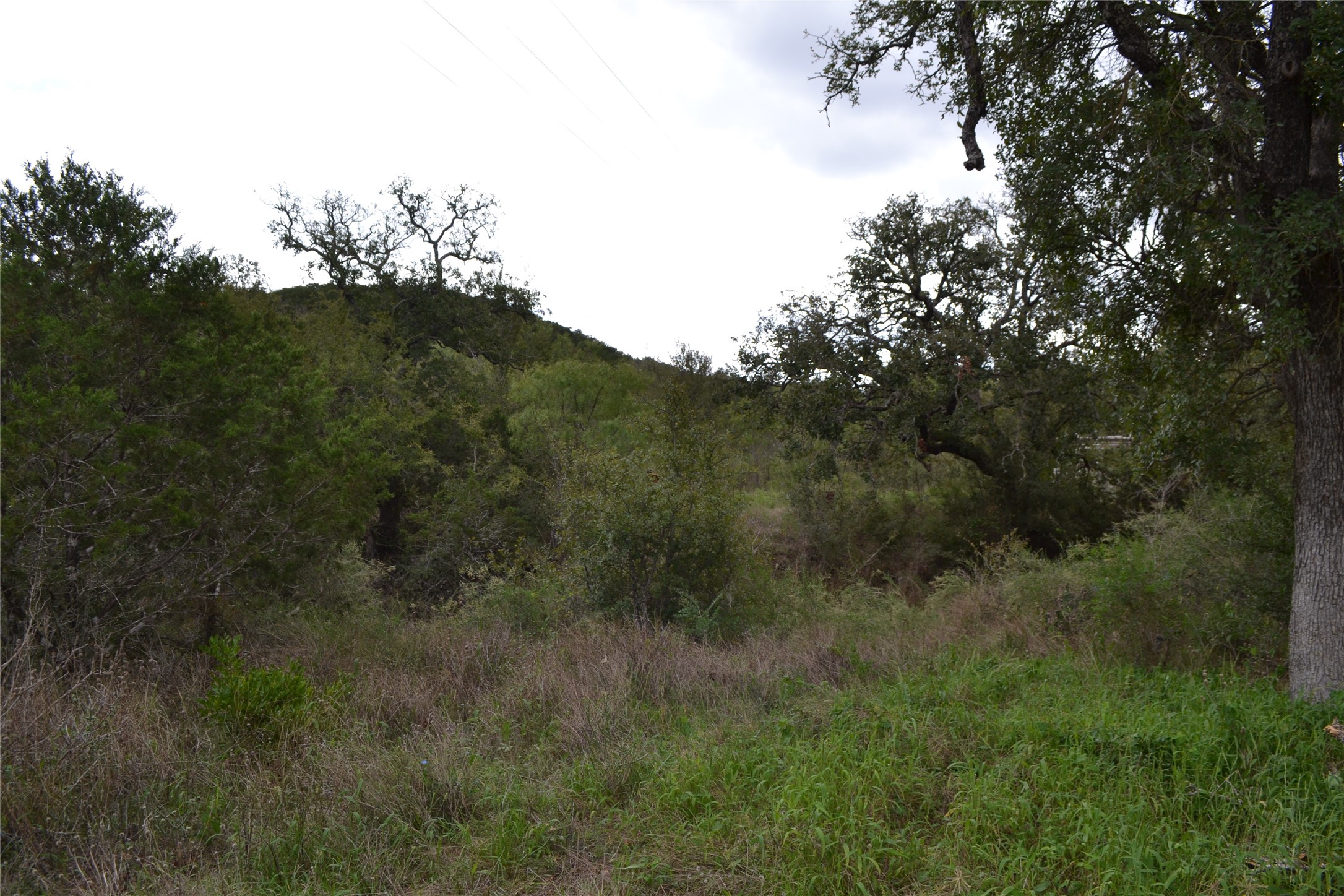 0 Ranch Road 2241 Tow, TX 78672 - Photo 11 of 33