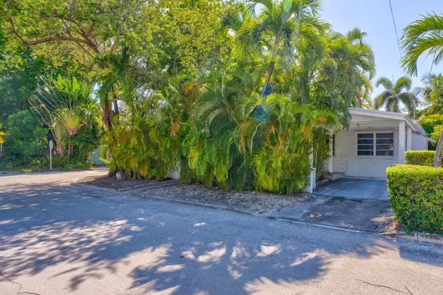 a view of a backyard with plants and large trees
