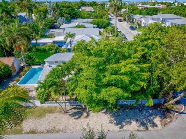 a view of a garden with potted plants