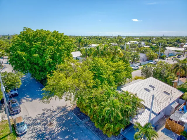 a view of a bunch of trees in a yard