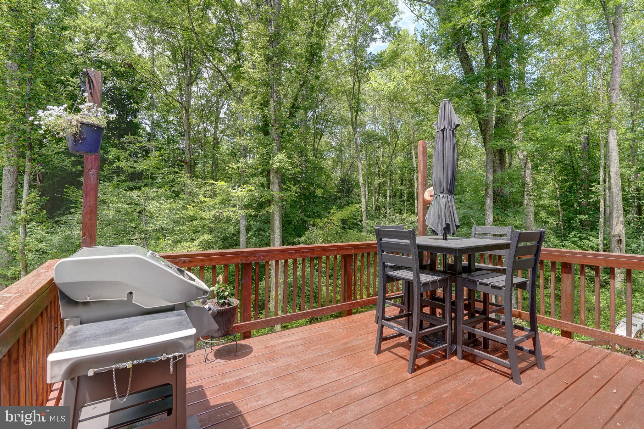 7314 Sugar Hollow Road Orange, VA 22960 - Photo 45 of 52