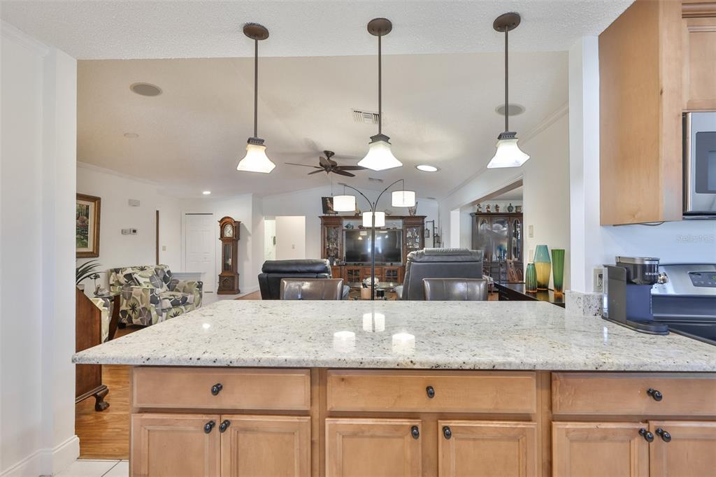 705 Baltusrol Way Sun City Center, FL 33573 - Photo 26 of 59 a kitchen with kitchen island granite countertop a table and chairs in it