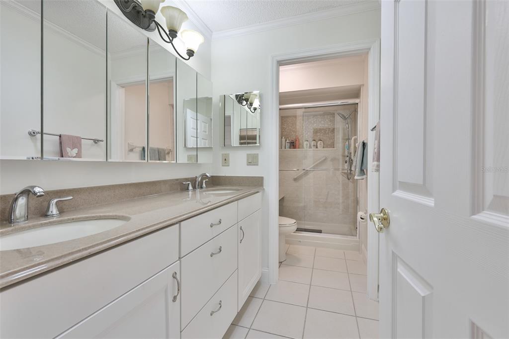 705 Baltusrol Way Sun City Center, FL 33573 - Photo 32 of 59 a spacious bathroom with a granite countertop sink a toilet and a shower