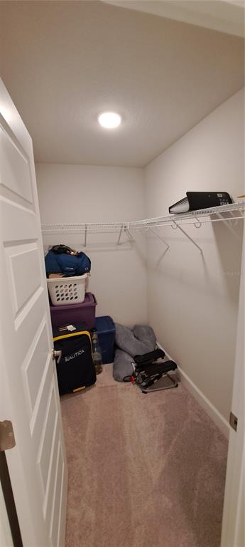 13052 Ogden Glade Road Dade City, FL 33525 - Photo 10 of 35 a view of walk in closet with clothes