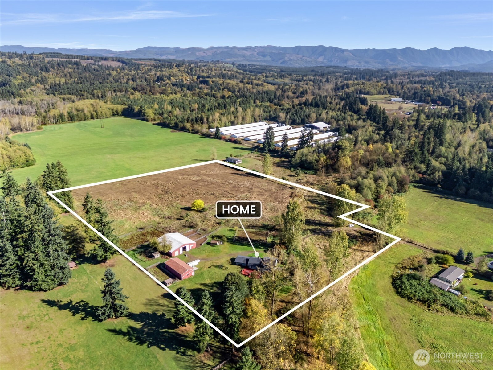 409 Shanklin Road Onalaska, WA 98570 - Photo 8 of 39