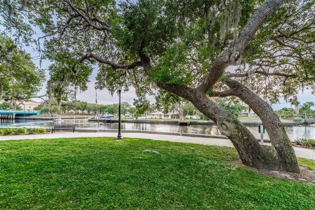 5936 Central Avenue New Port Richey, FL 34652 - Photo 78 of 95