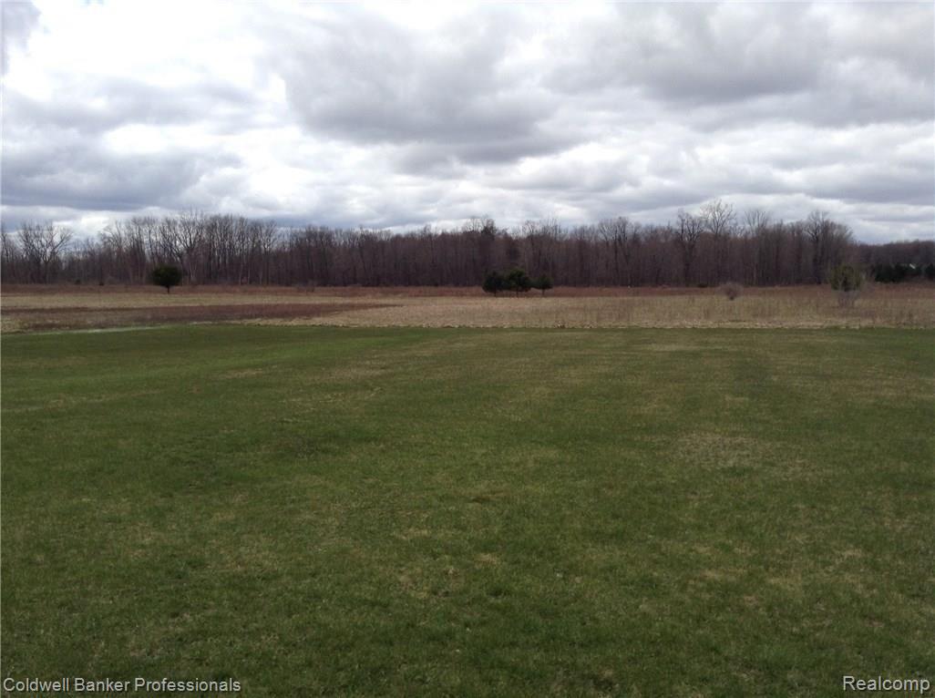 1840 South Summers Road Imlay City, MI 48444 - Photo 48 of 53 Backyard 2.JPG
