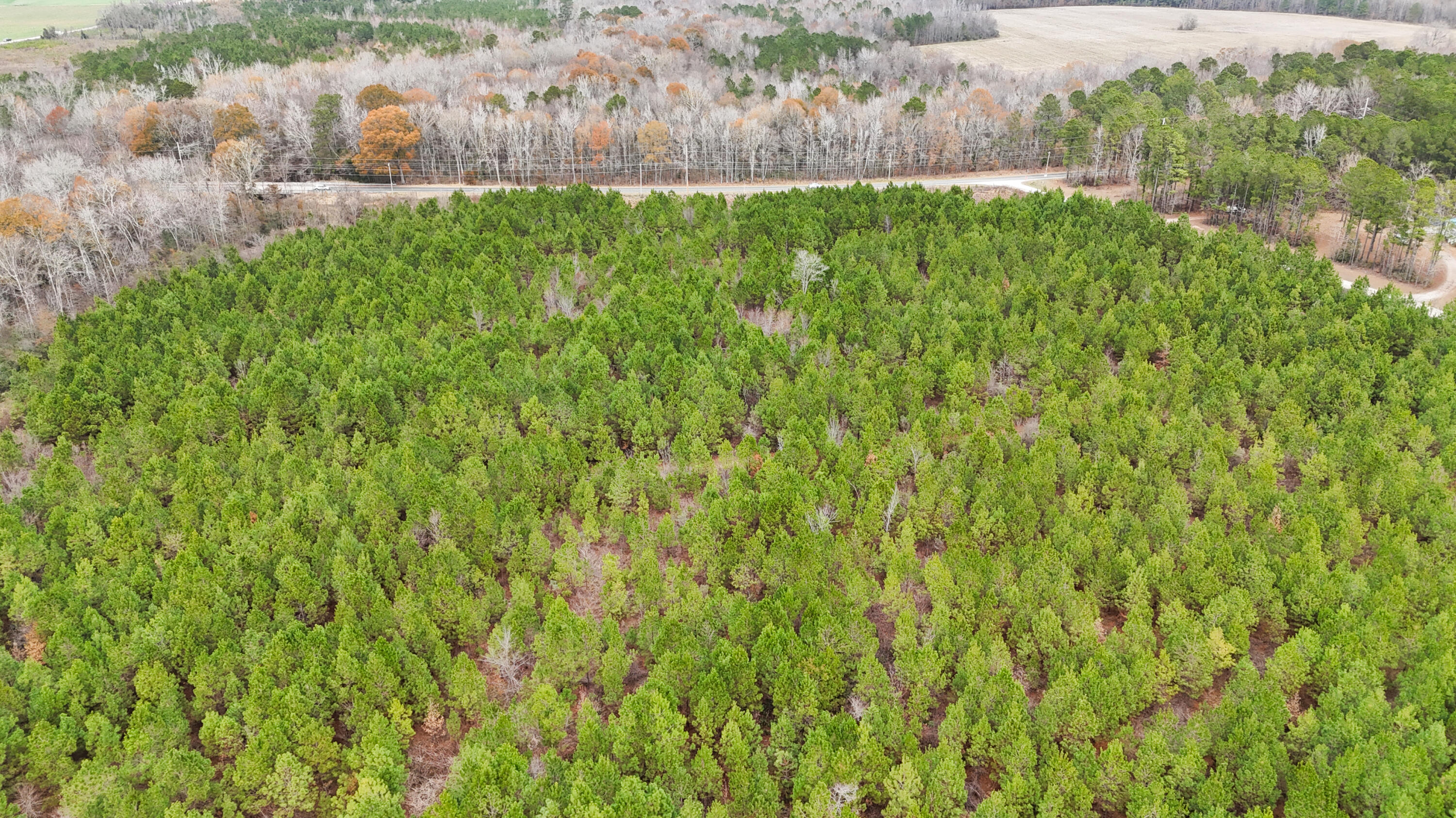 Tbd Tbd Bill Davis Road Summerton, SC 29148 - Photo 1 of 37 Gallery Image 1