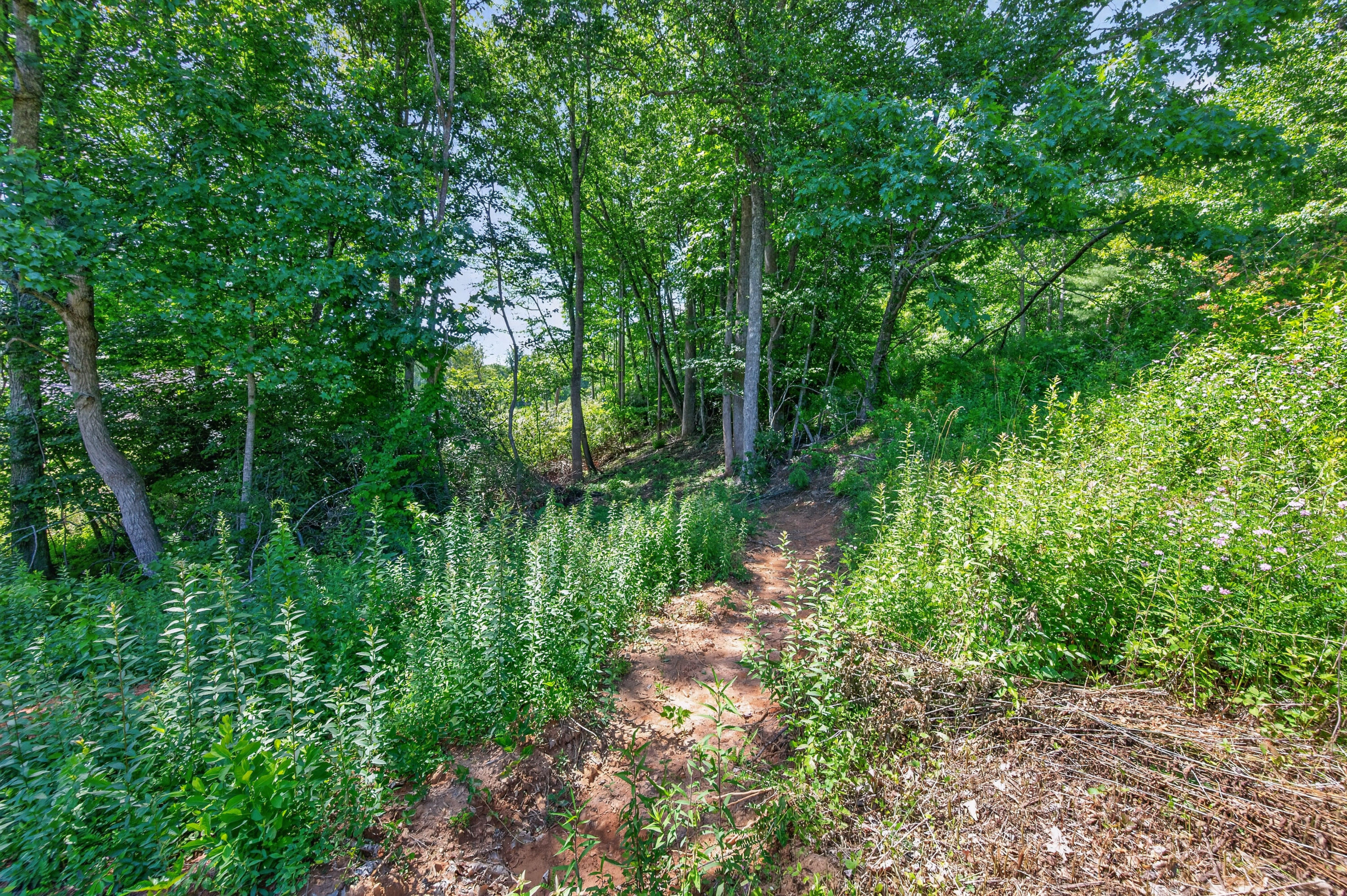 6196 Chances Creek Road Fancy Gap, VA 24328 - Photo 61 of 78 62