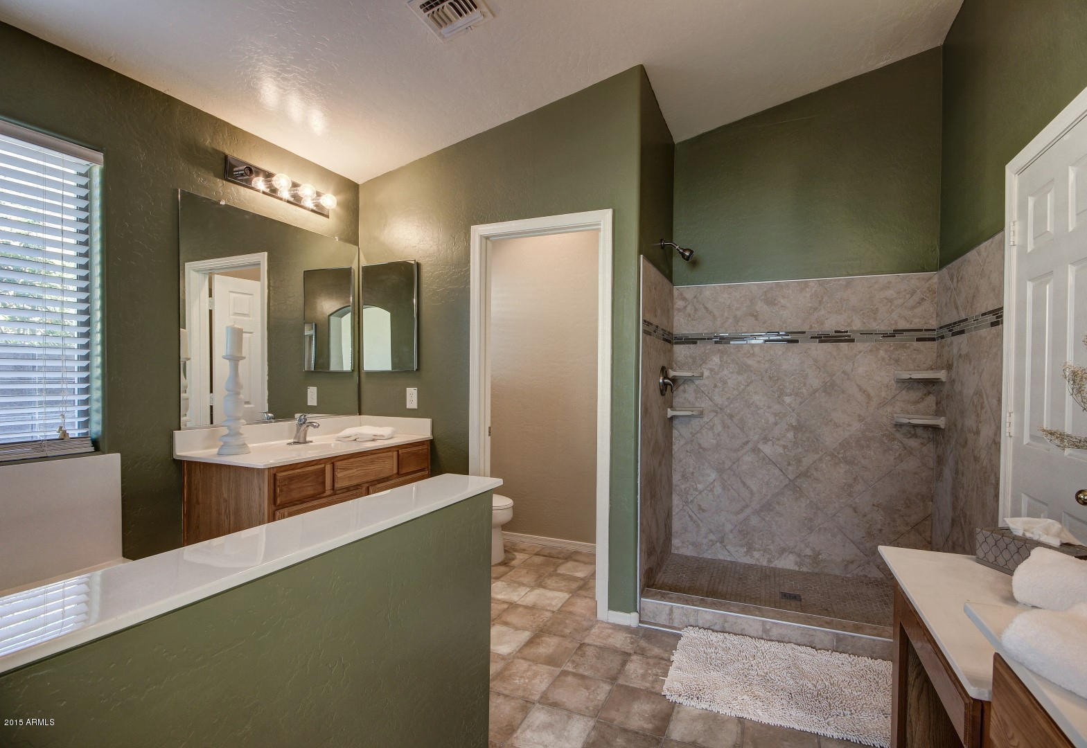 46149 West Tucker Road Maricopa, AZ 85139 - Photo 15 of 37 Tucker (23)