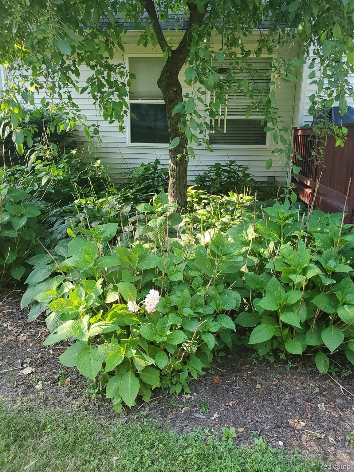 3570 East Coon Lake Road Howell, MI 48843 - Photo 11 of 45 20190629_184544.jpg