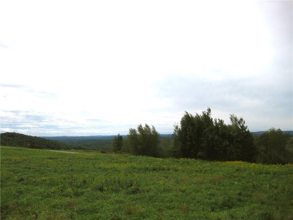 Radio Tower Road Callicoon, NY 12723 - Photo 1 of 1