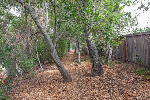a view of a yard with a tree