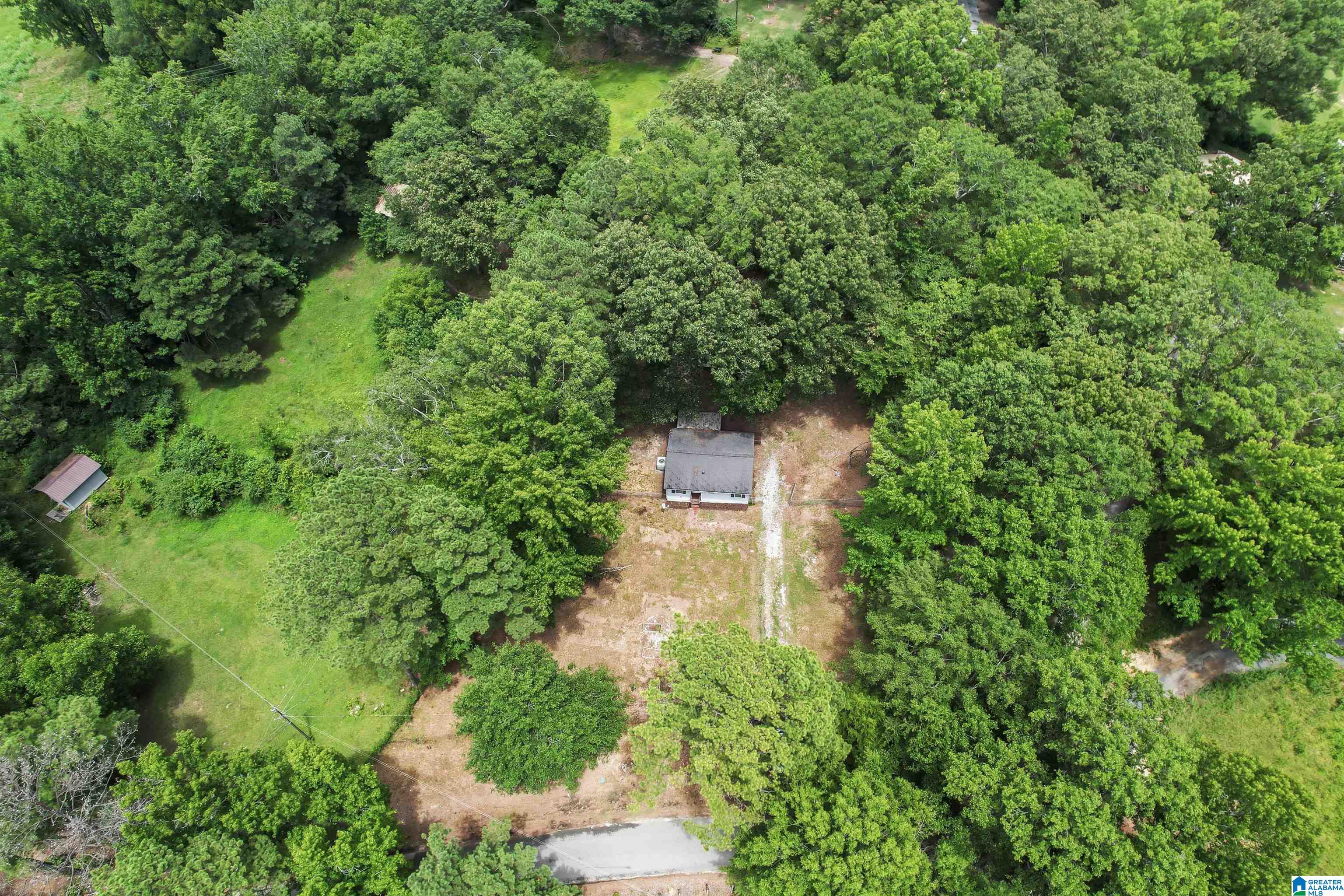 11333 Hickman Chapel Road McCalla, AL 35111 - Photo 4 of 15