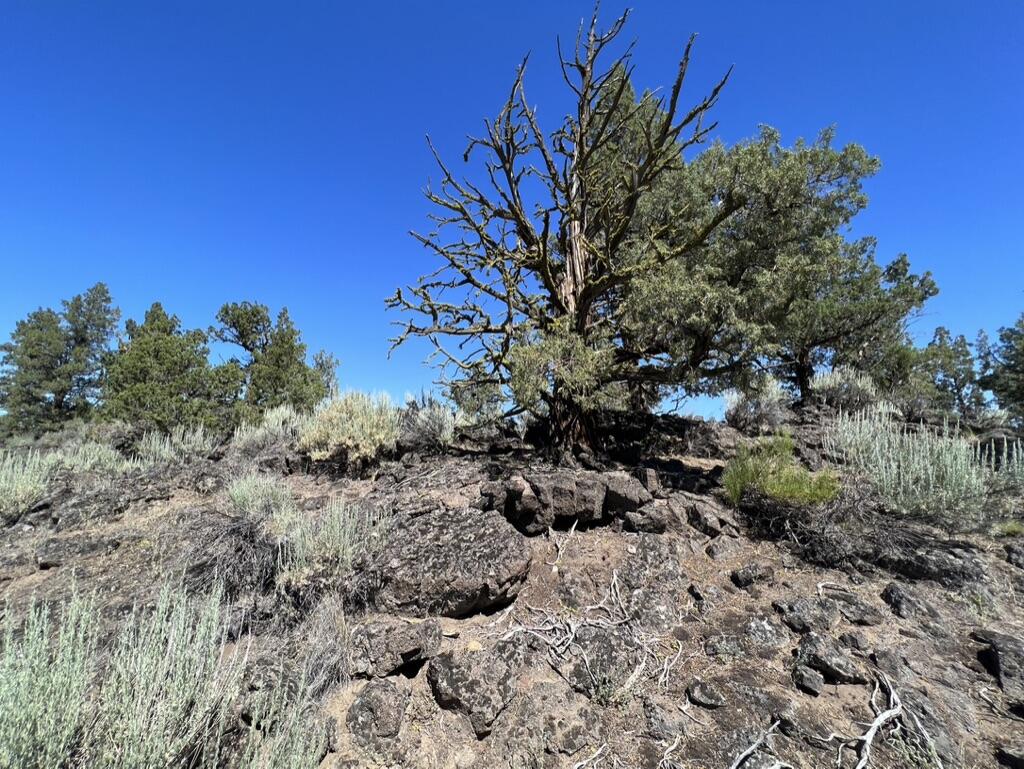 22957 Ghost Tree Lane, Unit 333 Bend, OR 97701 - Photo 14 of 21 on the back of the lot line rock outcropping. Common space behind for privacy