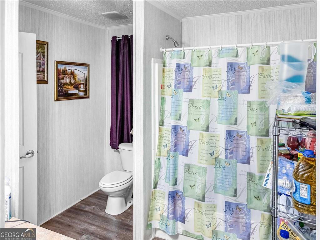230 Surrett Road Buchanan, GA 30113 - Photo 11 of 17 a bathroom with a toilet sink and shower curtain