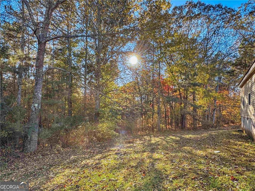 230 Surrett Road Buchanan, GA 30113 - Photo 15 of 17