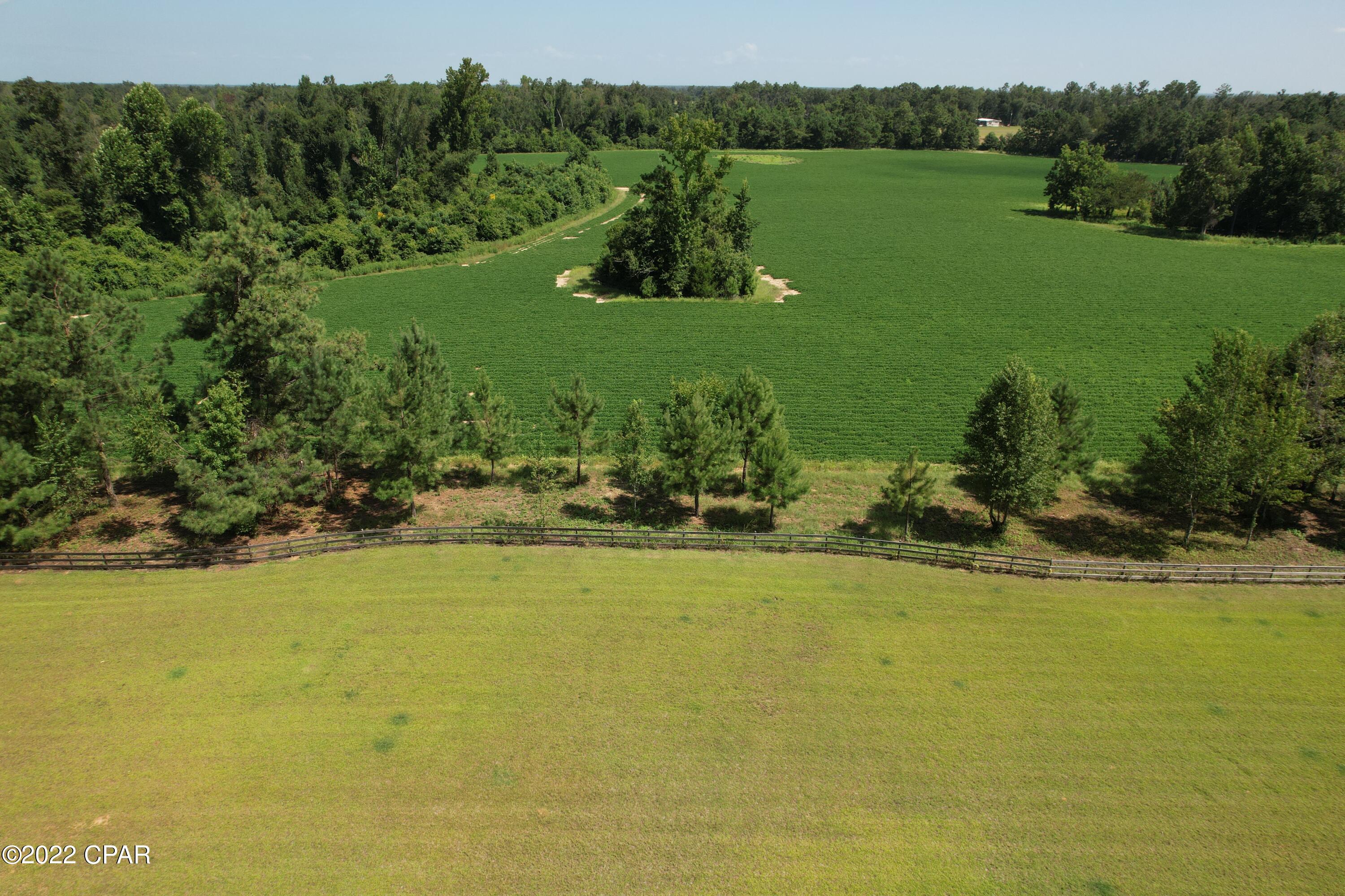 2399 El Bethel Church Road Grand Ridge, FL 32442 - Photo 27 of 60 Gallery Image 27