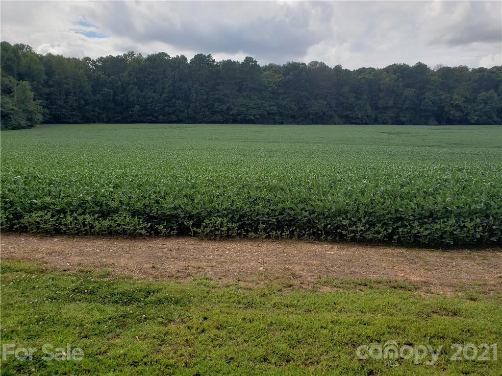 765 State Rd S-13-489 Pageland, SC 29728 - Photo 20 of 21 Gallery Image 20