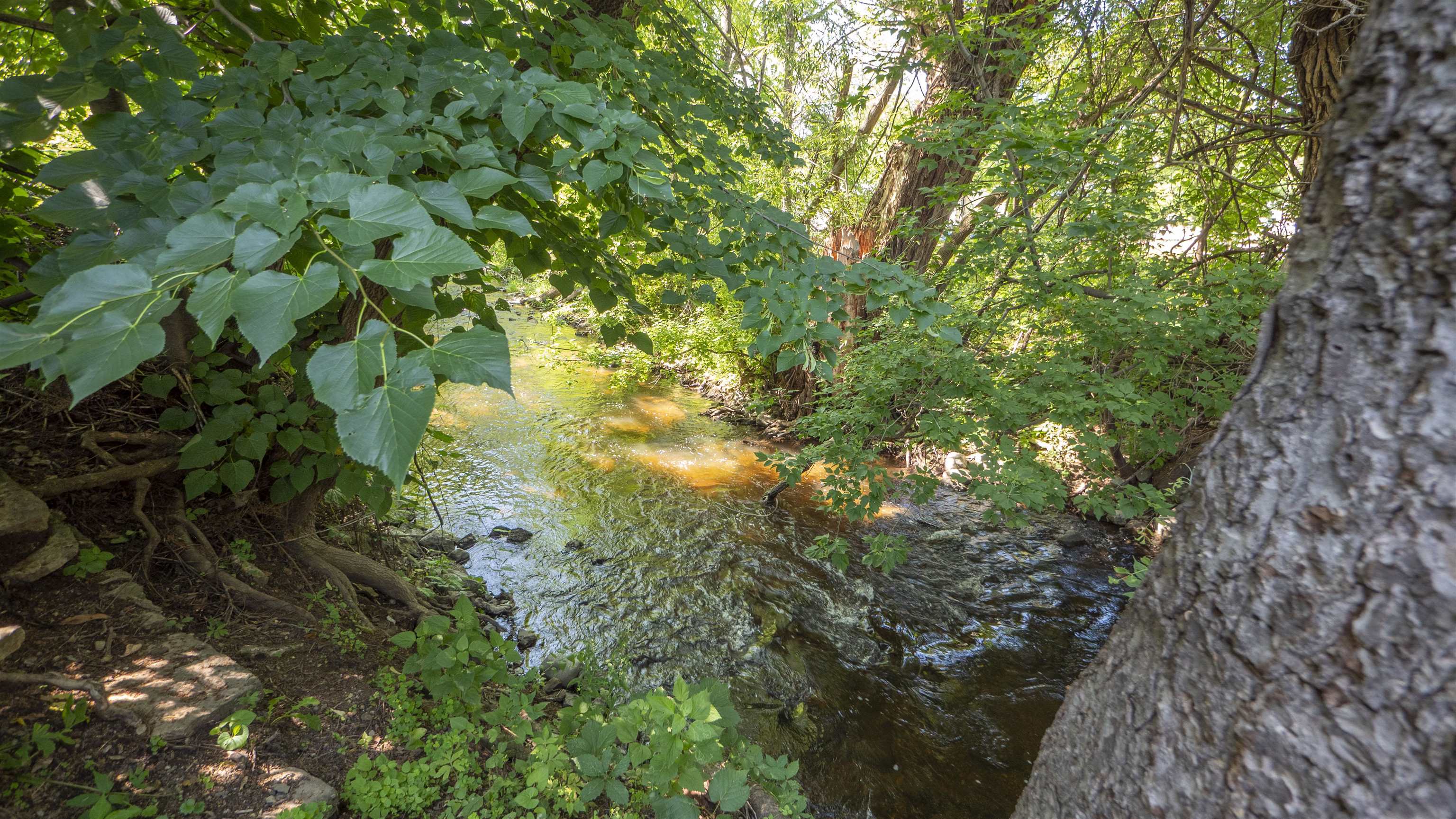 114 Washington Street Ripon, WI 54971 - Photo 3 of 15