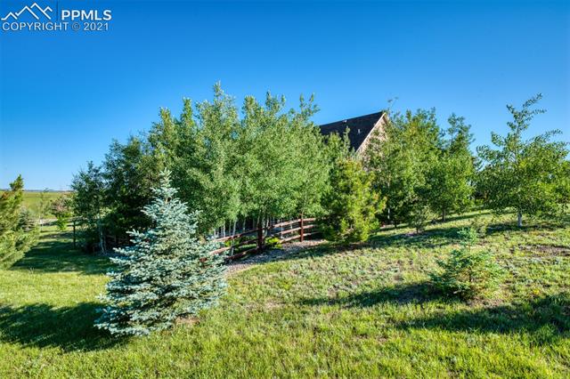 5021 Roundup Ridge Road Colorado Springs, CO 80908 - Photo 46 of 47
