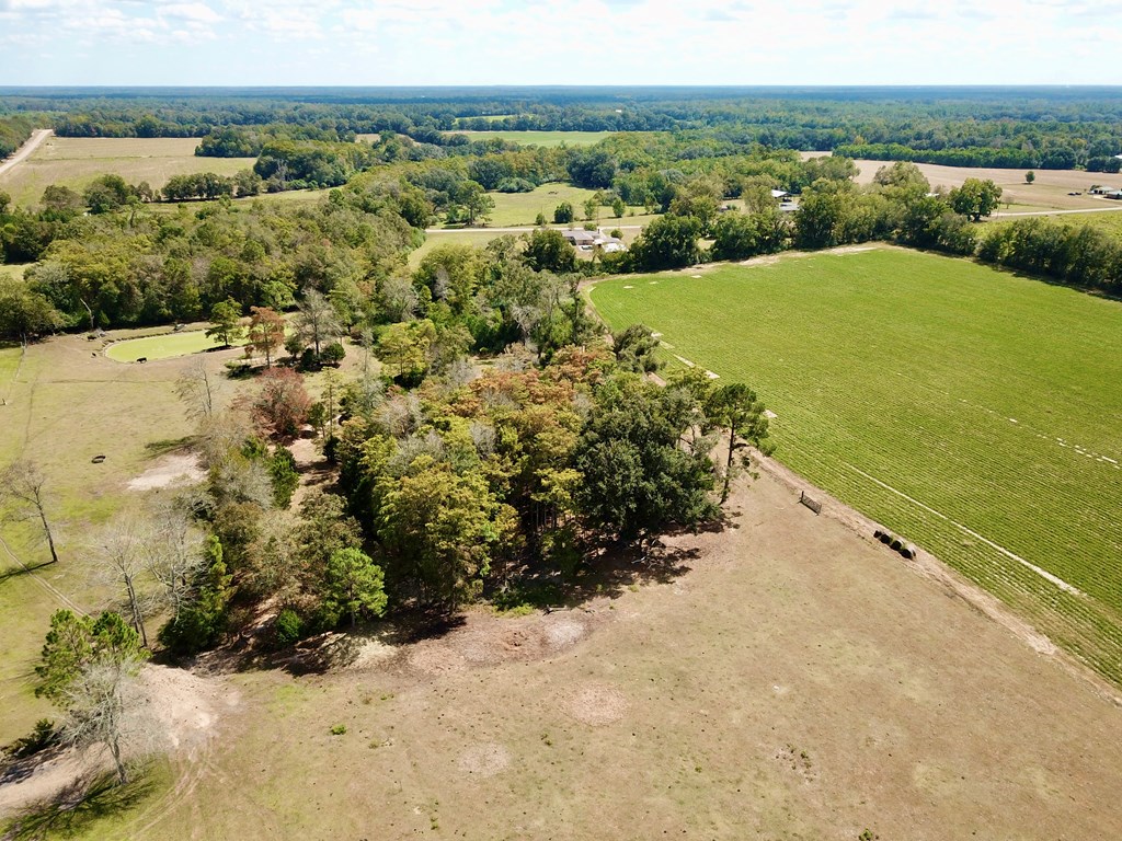 5.8-acres Nobles Road Cottonwood, AL 36320 - Photo 11 of 29