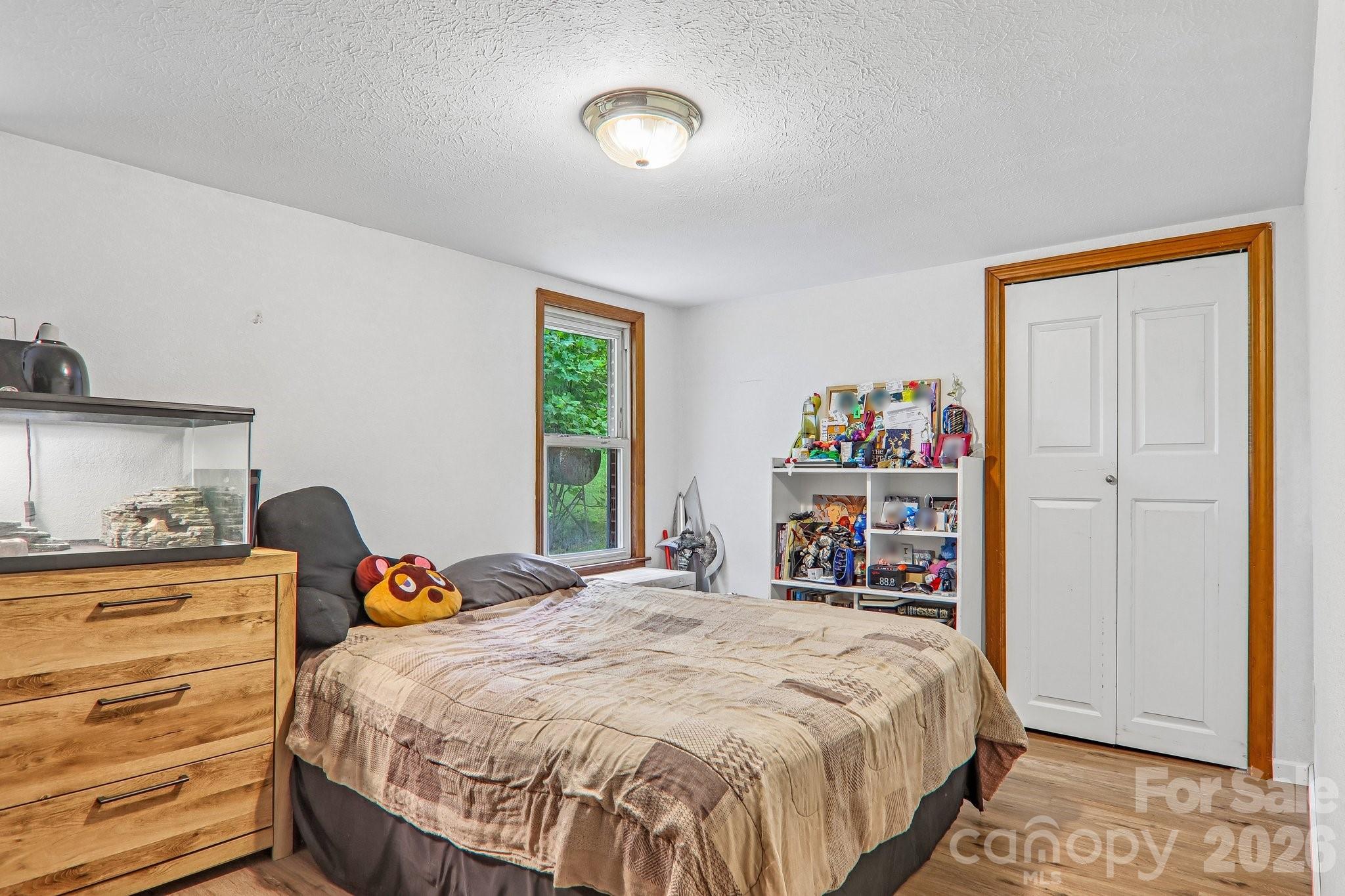 677 Mt Olivet Road Zirconia, NC 28790 - Photo 20 of 33